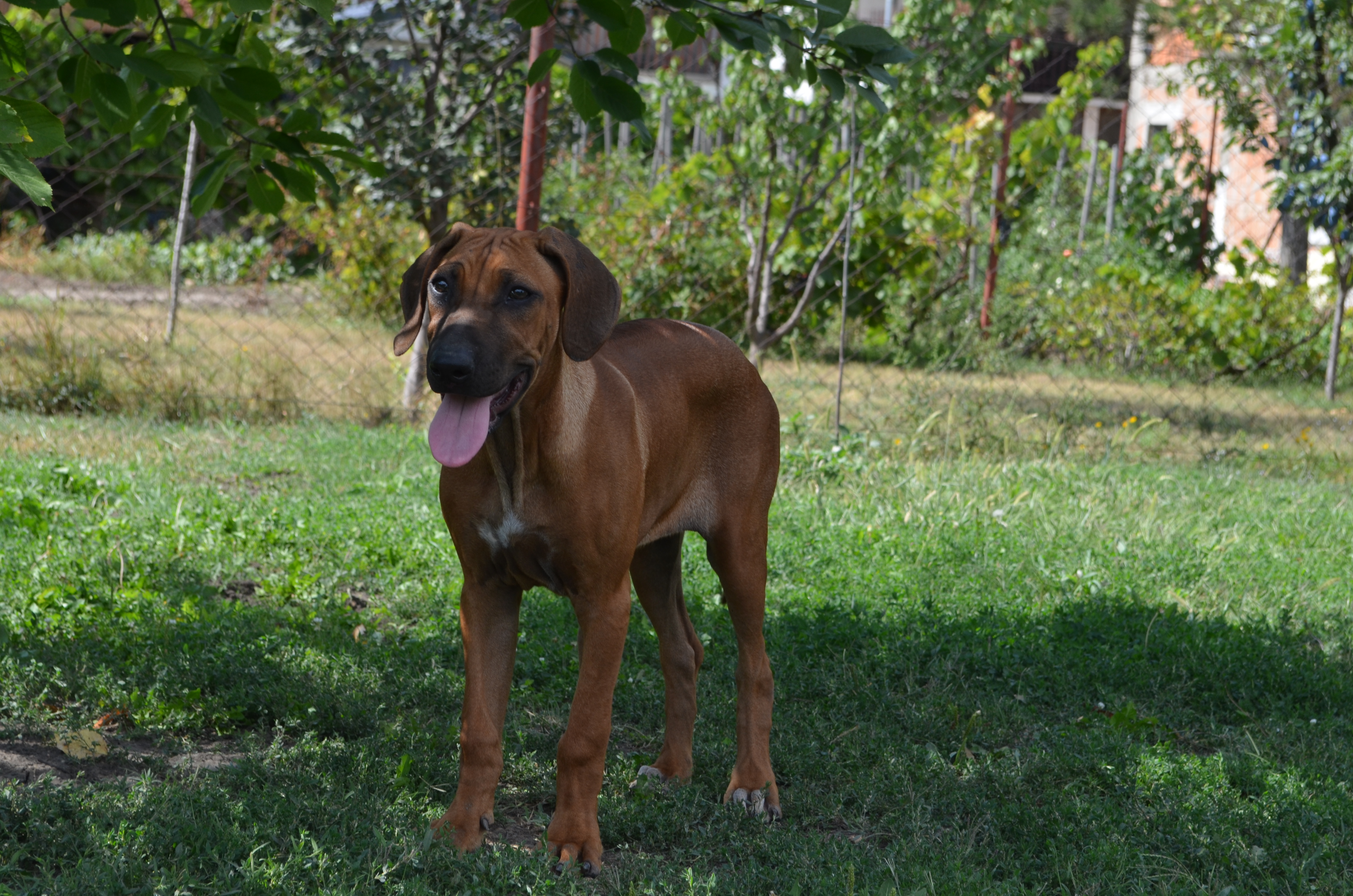 Aria Vidicki Ridgeland